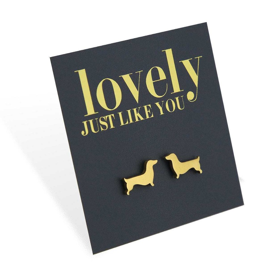 Jewellery Premium Studs | Stainless Steel Earring Studs - Lovely Just Like You - Dachshund